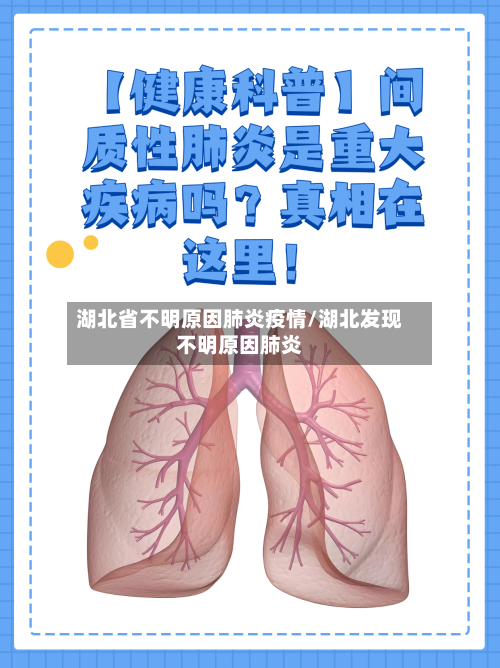 湖北省不明原因肺炎疫情/湖北发现不明原因肺炎-第1张图片