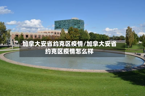 加拿大安省约克区疫情/加拿大安省约克区疫情怎么样-第1张图片