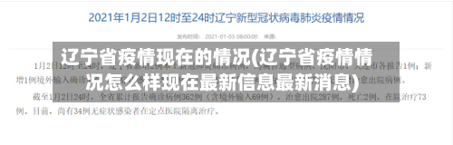 辽宁省疫情现在的情况(辽宁省疫情情况怎么样现在最新信息最新消息)-第2张图片