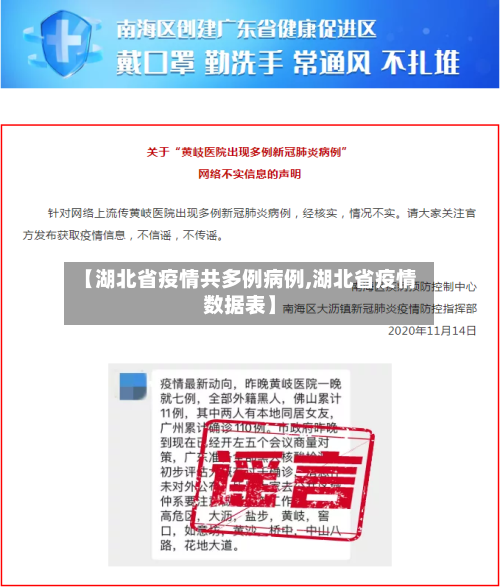 【湖北省疫情共多例病例,湖北省疫情数据表】-第3张图片