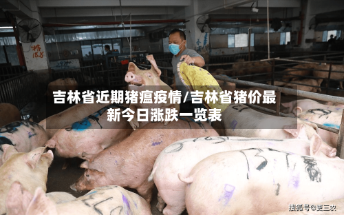 吉林省近期猪瘟疫情/吉林省猪价最新今日涨跌一览表-第1张图片