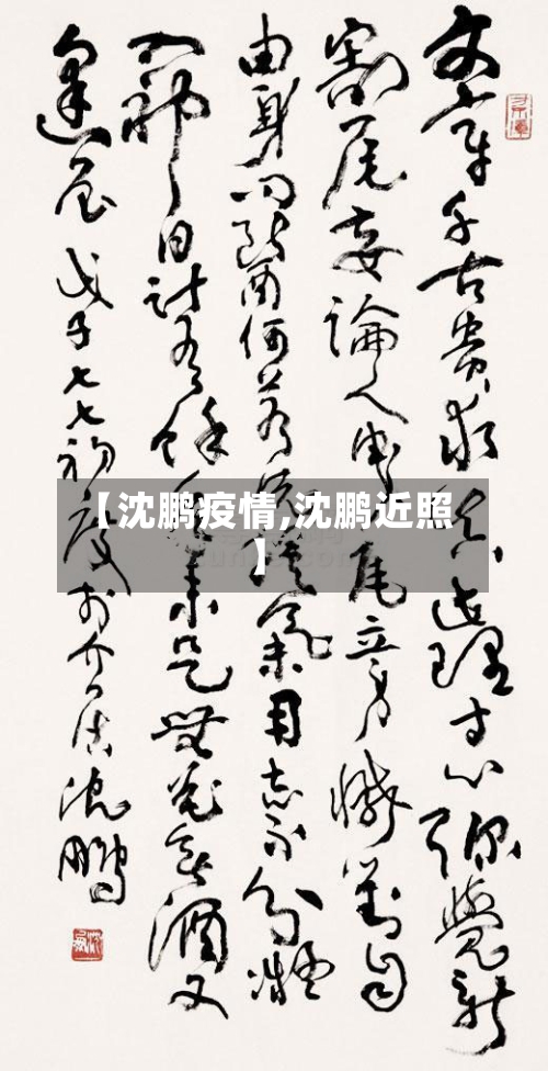 【沈鹏疫情,沈鹏近照】-第1张图片