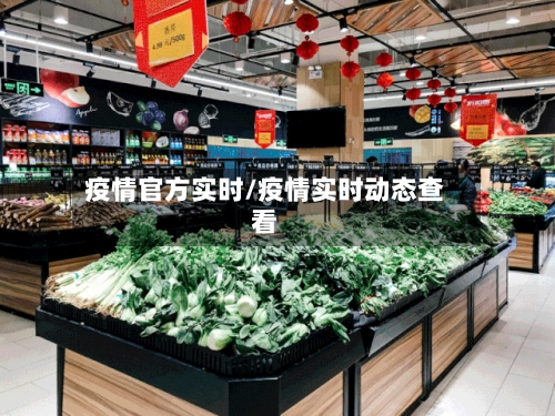 疫情官方实时/疫情实时动态查看-第1张图片