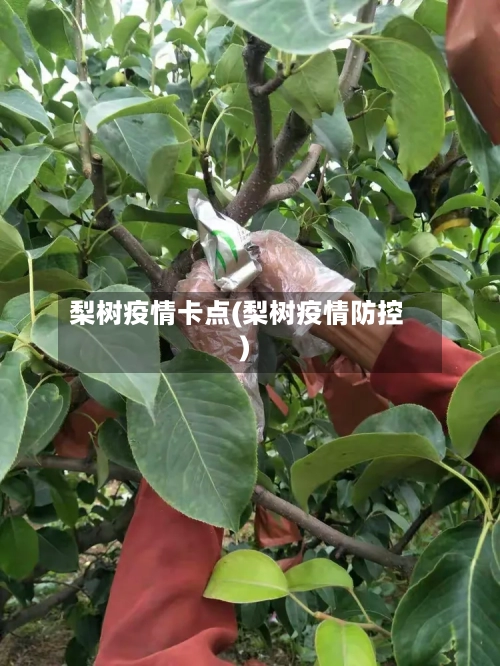 梨树疫情卡点(梨树疫情防控)-第1张图片