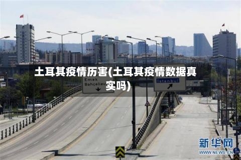 土耳其疫情历害(土耳其疫情数据真实吗)-第2张图片