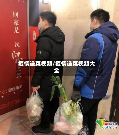 疫情送菜视频/疫情送菜视频大全-第1张图片