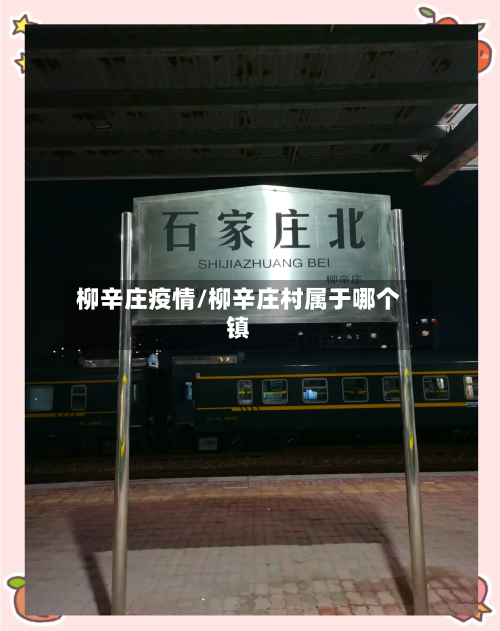 柳辛庄疫情/柳辛庄村属于哪个镇-第3张图片
