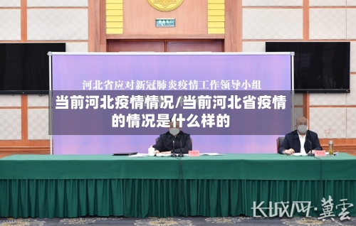 当前河北疫情情况/当前河北省疫情的情况是什么样的-第2张图片