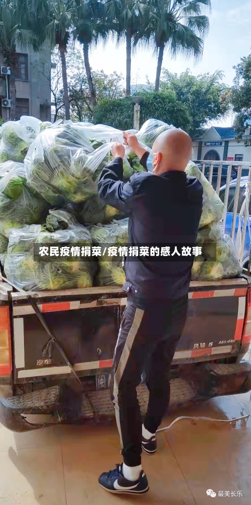 农民疫情捐菜/疫情捐菜的感人故事-第1张图片