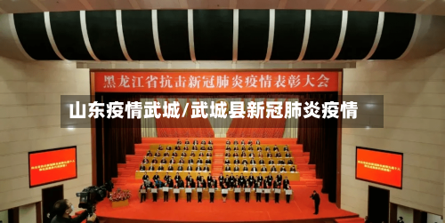 山东疫情武城/武城县新冠肺炎疫情-第2张图片