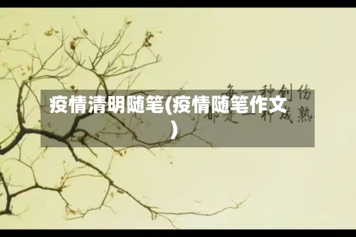 疫情清明随笔(疫情随笔作文)-第2张图片