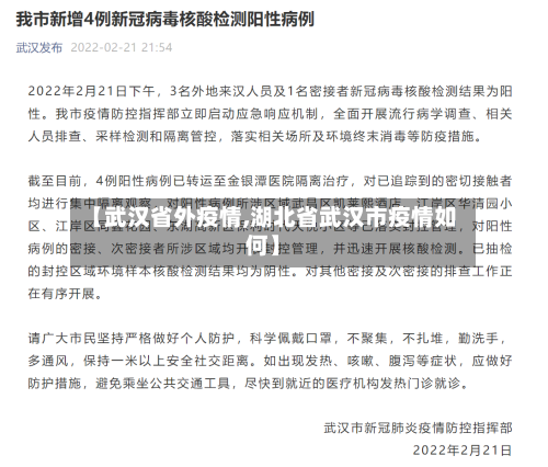 【武汉省外疫情,湖北省武汉市疫情如何】-第2张图片