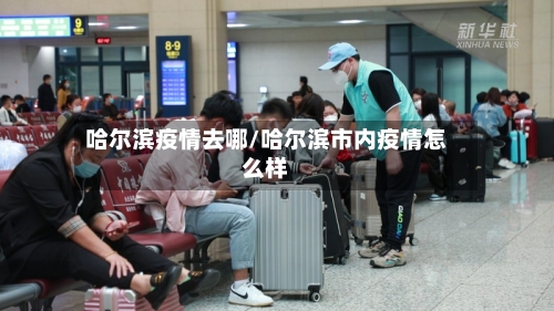 哈尔滨疫情去哪/哈尔滨市内疫情怎么样-第2张图片