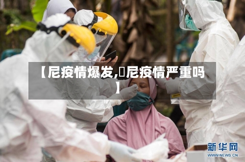 【尼疫情爆发,卬尼疫情严重吗】-第2张图片