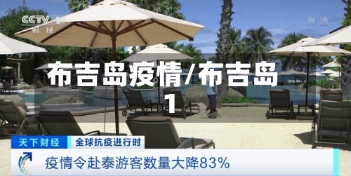 布吉岛疫情/布吉岛1-第1张图片