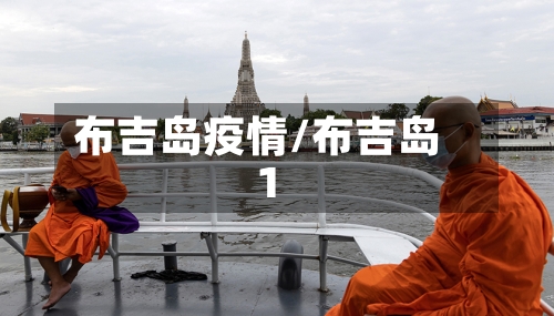 布吉岛疫情/布吉岛1-第2张图片