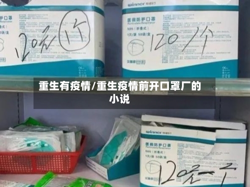 重生有疫情/重生疫情前开口罩厂的小说-第1张图片