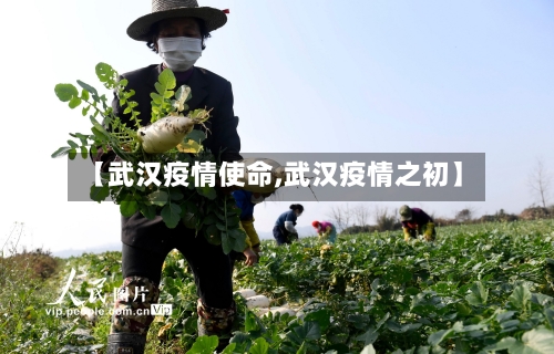 【武汉疫情使命,武汉疫情之初】-第2张图片