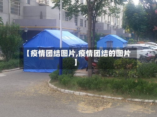 【疫情团结图片,疫情团结的图片】-第3张图片