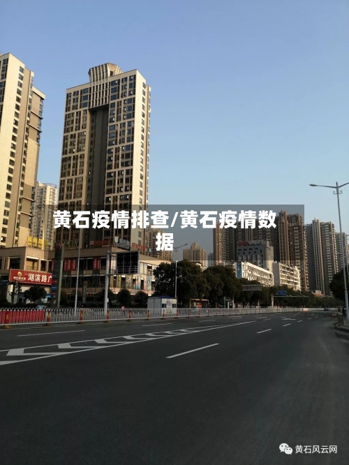 黄石疫情排查/黄石疫情数据-第3张图片