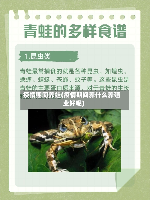 疫情期间养蛙(疫情期间养什么养殖业好呢)-第1张图片