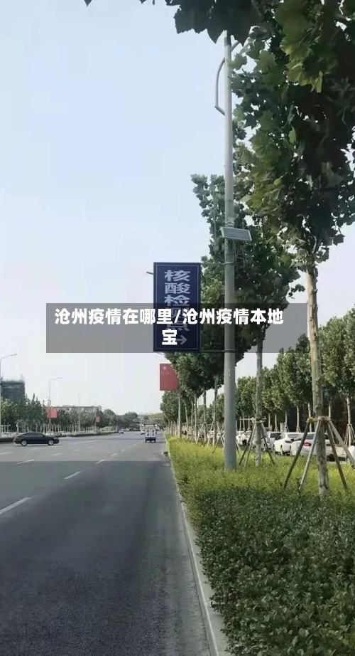 沧州疫情在哪里/沧州疫情本地宝-第3张图片