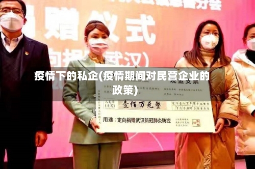 疫情下的私企(疫情期间对民营企业的政策)-第1张图片