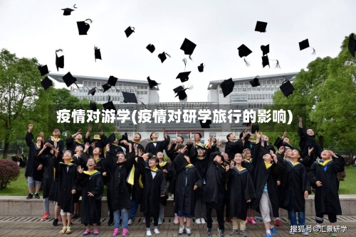 疫情对游学(疫情对研学旅行的影响)-第1张图片
