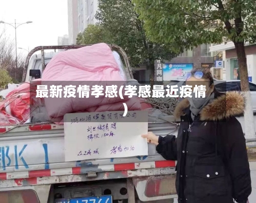最新疫情孝感(孝感最近疫情)-第2张图片