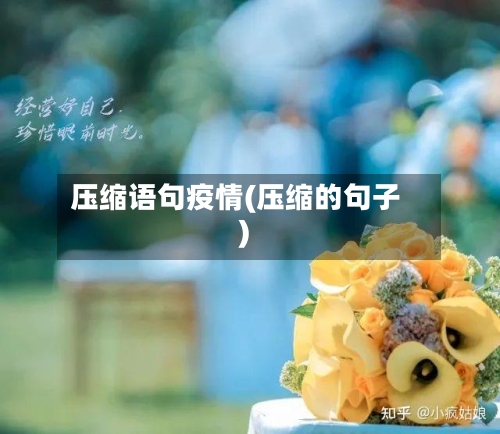 压缩语句疫情(压缩的句子)-第3张图片