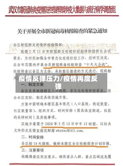 疫情反弹压力/疫情再度反弹-第2张图片
