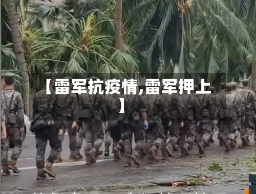 【雷军抗疫情,雷军押上】-第1张图片