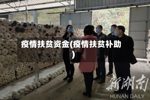 疫情扶贫资金(疫情扶贫补助)-第2张图片