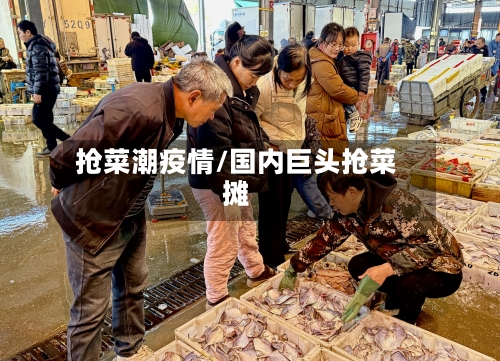 抢菜潮疫情/国内巨头抢菜摊-第2张图片