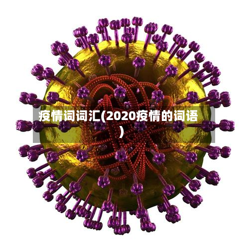 疫情词词汇(2020疫情的词语)-第1张图片