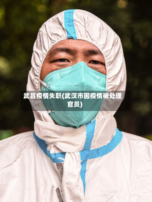 武昌疫情失职(武汉市因疫情被处理官员)-第2张图片