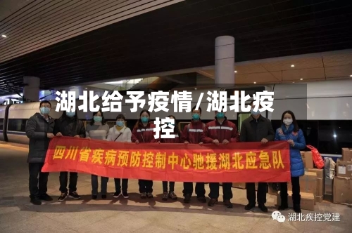湖北给予疫情/湖北疫控-第3张图片