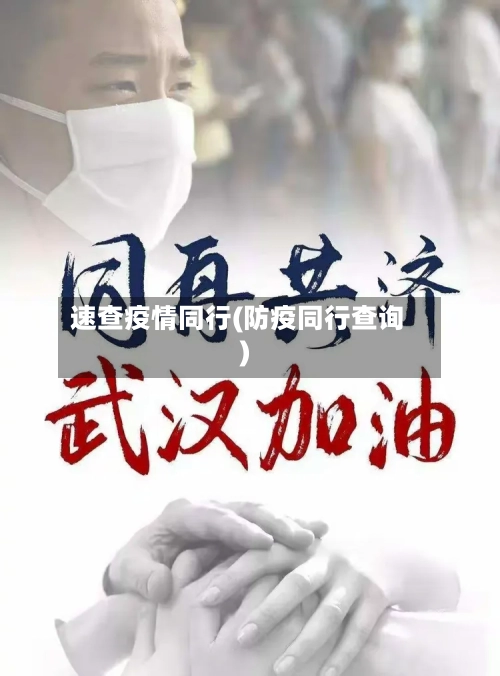 速查疫情同行(防疫同行查询)-第2张图片
