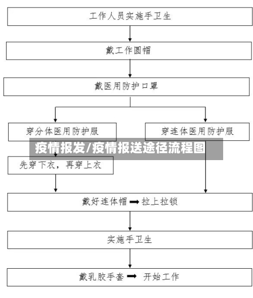 疫情报发/疫情报送途径流程图-第2张图片