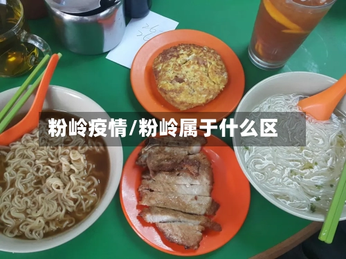 粉岭疫情/粉岭属于什么区-第2张图片