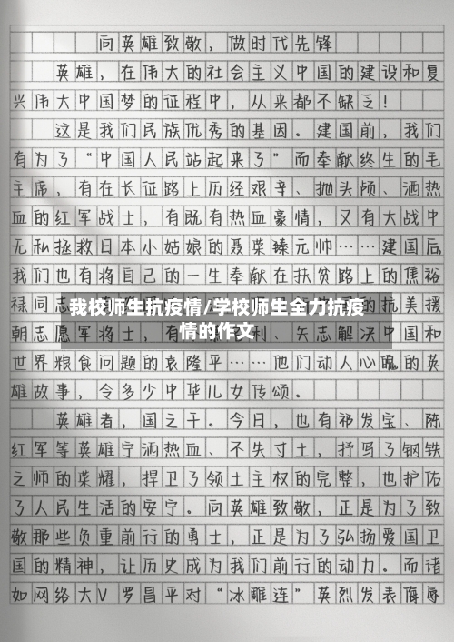 我校师生抗疫情/学校师生全力抗疫情的作文-第3张图片