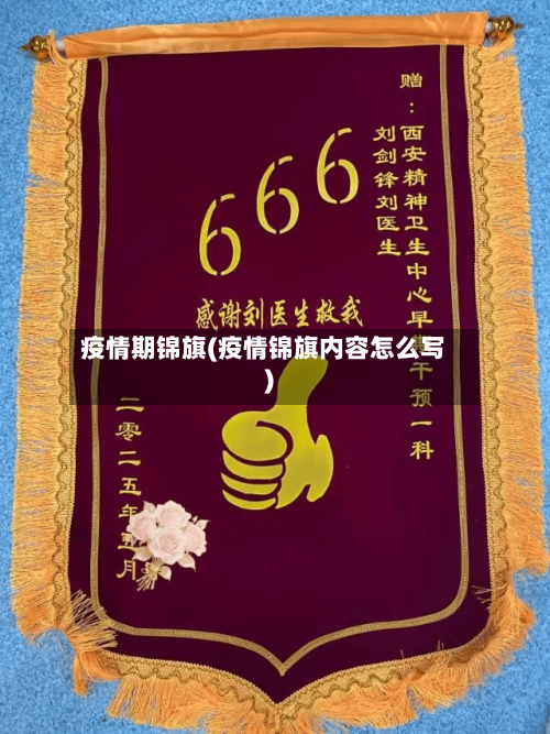 疫情期锦旗(疫情锦旗内容怎么写)-第3张图片