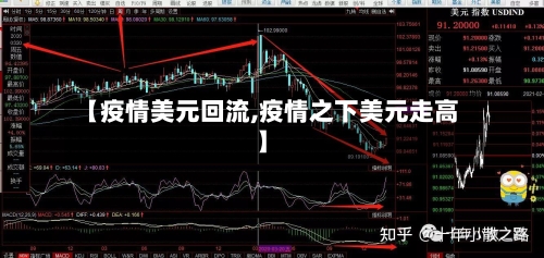 【疫情美元回流,疫情之下美元走高】-第2张图片