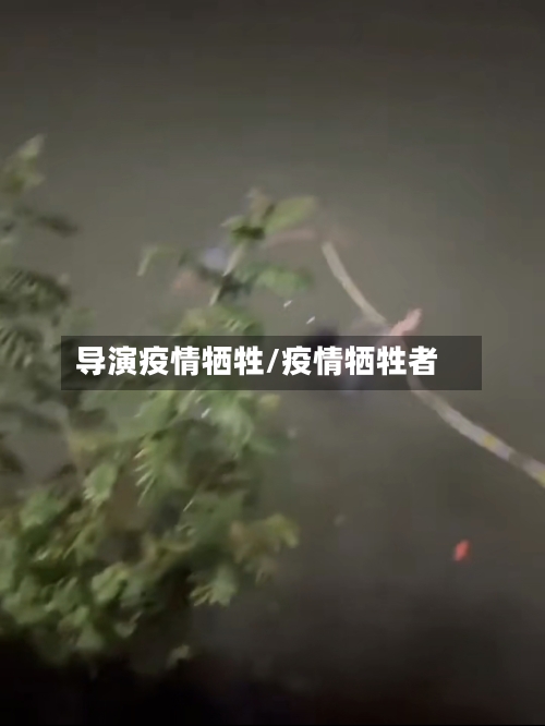 导演疫情牺牲/疫情牺牲者-第2张图片