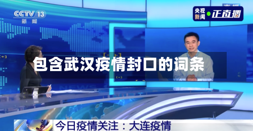 包含武汉疫情封口的词条-第3张图片