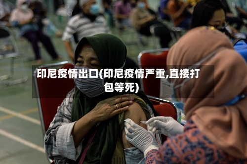 印尼疫情出口(印尼疫情严重,直接打包等死)-第2张图片