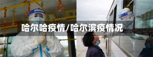 哈尔哈疫情/哈尔滨疫情况-第1张图片