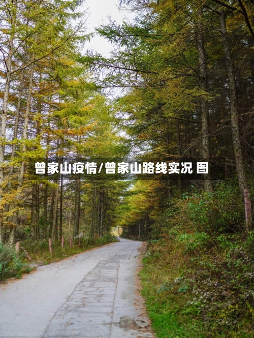 曾家山疫情/曾家山路线实况 图-第3张图片