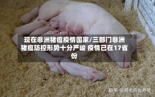 现在非洲猪瘟疫情国家/三部门非洲猪瘟防控形势十分严峻 疫情已在17省份-第3张图片