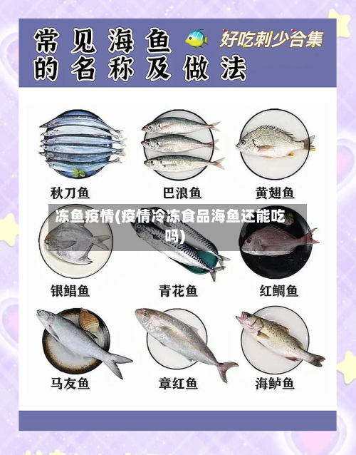 冻鱼疫情(疫情冷冻食品海鱼还能吃吗)-第1张图片
